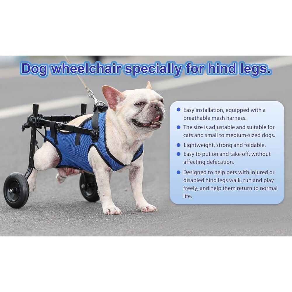 Adjustable Small Dog Wheelchair - Mobility Aid for Disabled Pets